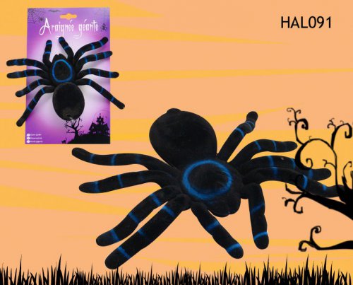 hal091.jpg