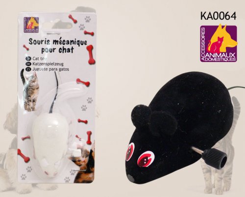 ka0064.jpg