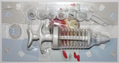 mini2-kt082004.jpg