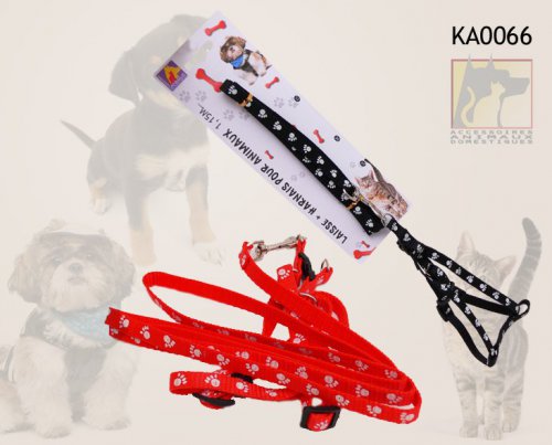 ka0066.jpg