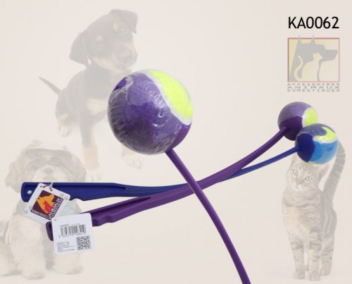 ka0062.jpg